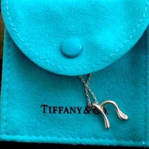Elsa peretti N Initial Tiffany & co & 16” chain